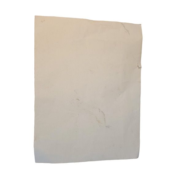 Framed J. & E. Gould - Nectarina Famosa Lithograph Print 17 1/2 x 21 1/2" - Picture 12 of 16